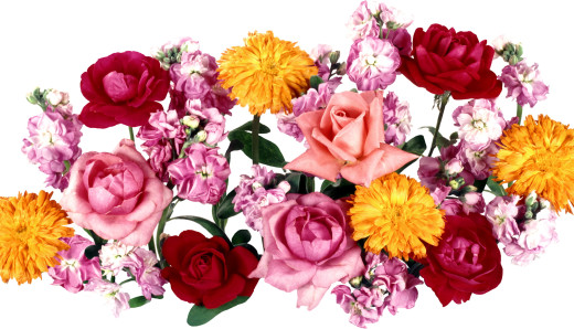 606040 (a): :2800x1600